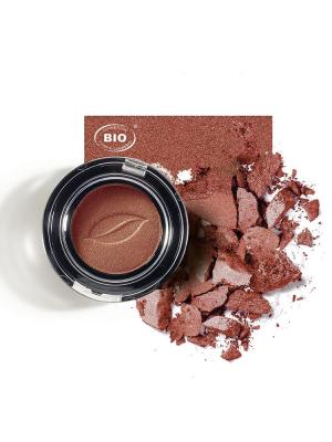 Image fard a paupieres ombres et lumieres brin de corail phyts organic make up embellissetvous
