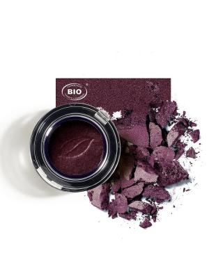 Image fard a paupieres ombres et lumieres delices de prune phyts organic make up embellissetvous