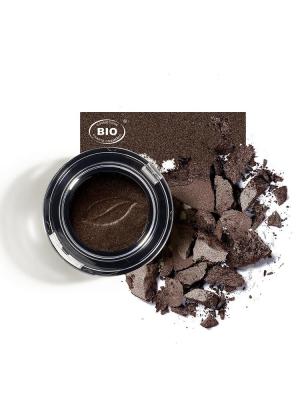 Image fard a paupieres ombres et lumieres eclats de noisette phyts organic make up embellissetvous