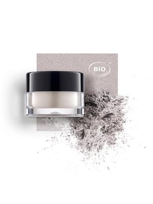 Image fard a paupieres touches de lum pepites dargent phyts organic make up embellissetvous