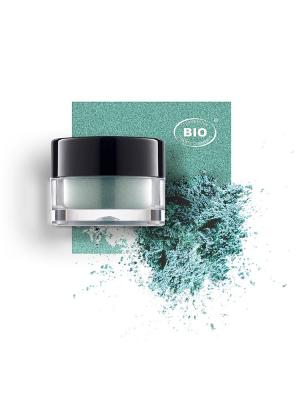 Image fard a paupieres touches de lumiere eclats de vert phyts organic make up embellissetvous