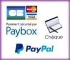 Paiements carroussel3