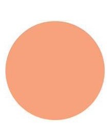 Poudre compacte beige naturelle