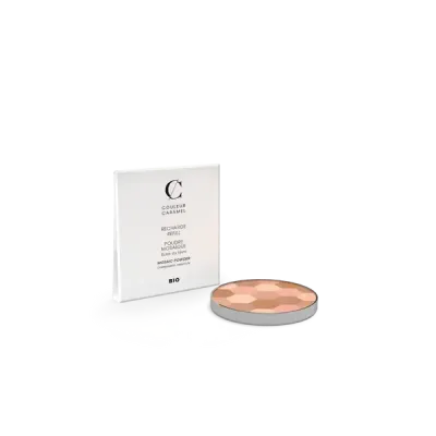 Poudre mosaique teint clair couleur caramel 621232fo embellissetvous fr